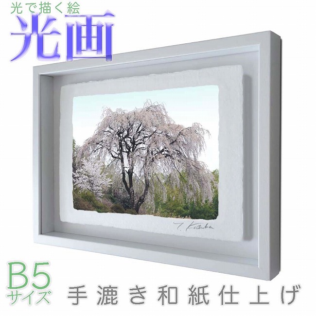 プロカメラマン片岡司 光画【山笑う】 B5サイズ 光で描く絵 手漉き和紙仕上げ 008-B5-ホワイト綺麗 背景 パステルカラー 和紙アート(21y8m)[次回使えるクーポンプレゼント]