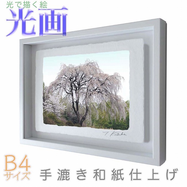 プロカメラマン片岡司 光画【山笑う】 B4サイズ 光で描く絵 手漉き和紙仕上げ 008-B4-ホワイト綺麗 背景 パステルカラー 和紙アート(21y8m)[次回使えるクーポンプレゼント]