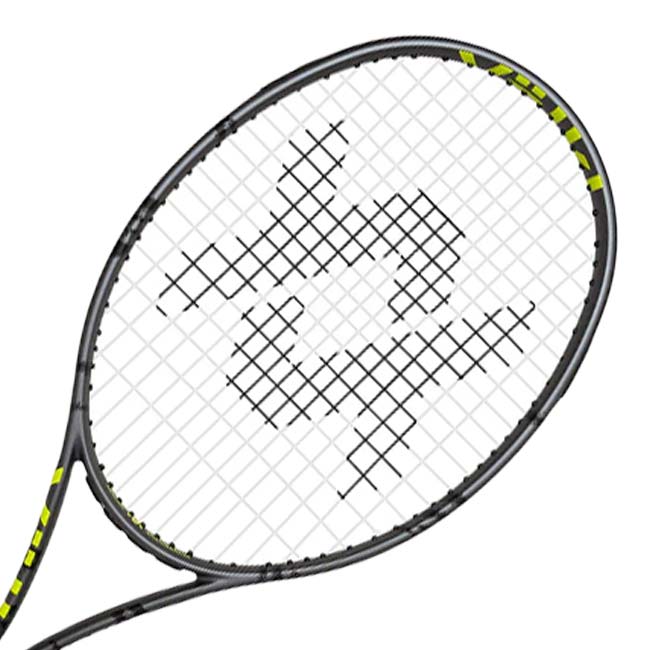 【11%OFFマジッククーポン対象】フォルクル(Volkl) 2025 C10 EVO C10 エボ (310g) 日本正規代理店品 硬式テニスラケット V15572 グレー&times;ブラック(26y3m)[AC][次回使えるクーポンプレゼント]｜アミュゼスポーツ