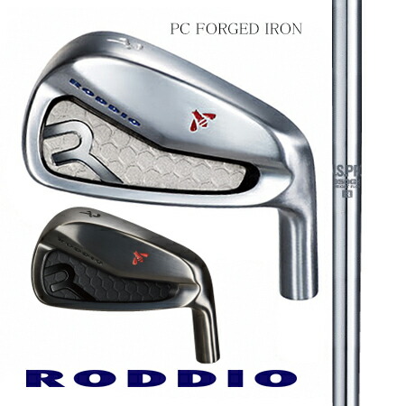 RODDIOロッディオ マイコン FORGED IRONフォージドアイアン/日本立て坑・ＮＳ950ＧＨ ＃6-9・P・Q 6本仕掛ける