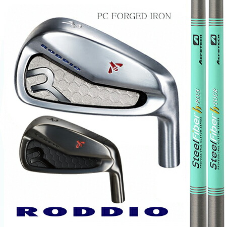 RODDIOロッディオ マイコン FORGED IRONフォージドアイアン/TRUE TEMPER スチール写真衣料繊維 H続きもの ＃5-9・ＰＷ 6本仕掛ける【カスタム・ゴルフ野球クラブ】