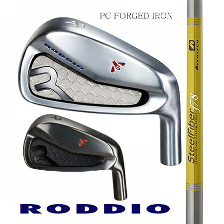 RODDIOロッディオ マイコン FORGED IRONフォージドアイアン/TRUE TEMPER スチール写真衣料繊維 J続きもの ＃5-9・ＰＷ 6本仕掛ける【カスタム・ゴルフ野球クラブ】