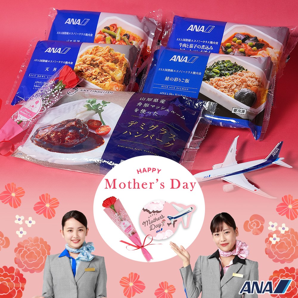 【母の日いつもありがとう便】機内食4個+ANA FINDELISH デミグラスハンバーグ ANA 機内食 ANA国際線エコノミークラス機内食 冷凍弁当 お弁当 お取り寄せグルメ 温めるだけ 簡単 時短 洋食 和食 ana 冷凍食品 冷凍 食べ物 ギフト 仕送り夜食
