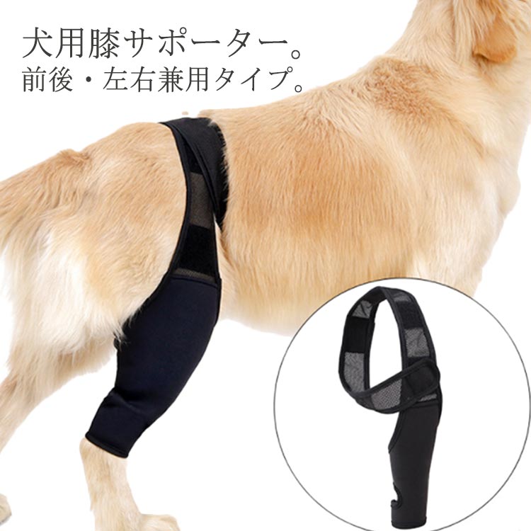 関節プロテクター 固定 包帯 犬用 関節保護 リハビリ 前足 犬用介護用品 ケア用品 歩行補助 後ろ足 ショート ペット用品 膝サポーター 犬骨折治療 老犬介護 介護用品 シニア 肘当て 床ずれ 腕 肘 老犬 老齢犬 高齢犬 小型犬 中型犬 前後左右兼用 即日発送