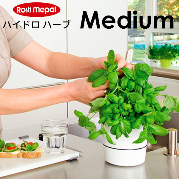 楽天市場 メパル Mepal ハイドロ ハーブ ミディアム M 植木鉢 ポット ガーデニング 庭 観葉植物 水やり あなろ インテリア雑貨