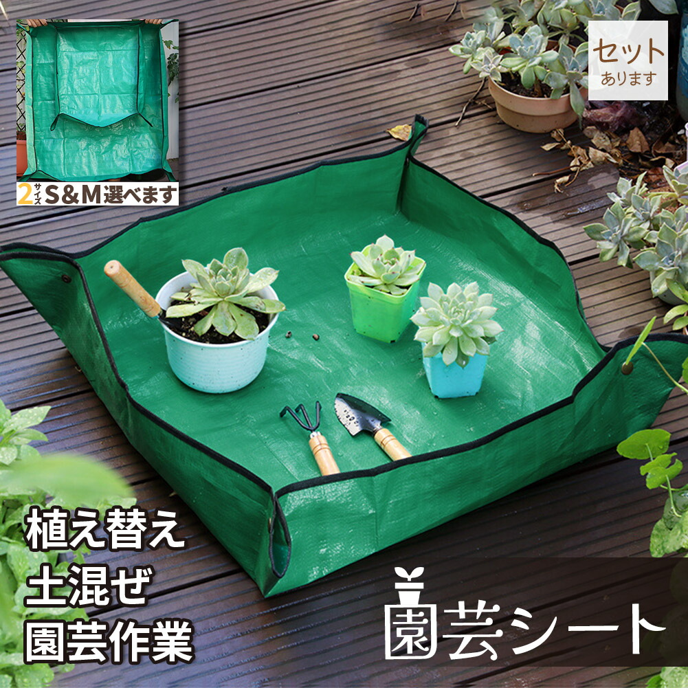 シェニールダイニングシートきクッション　グリーン　4枚セット Amazon.co.jp: JEMA ジェマ 椅子用クッション 4枚セット チェア