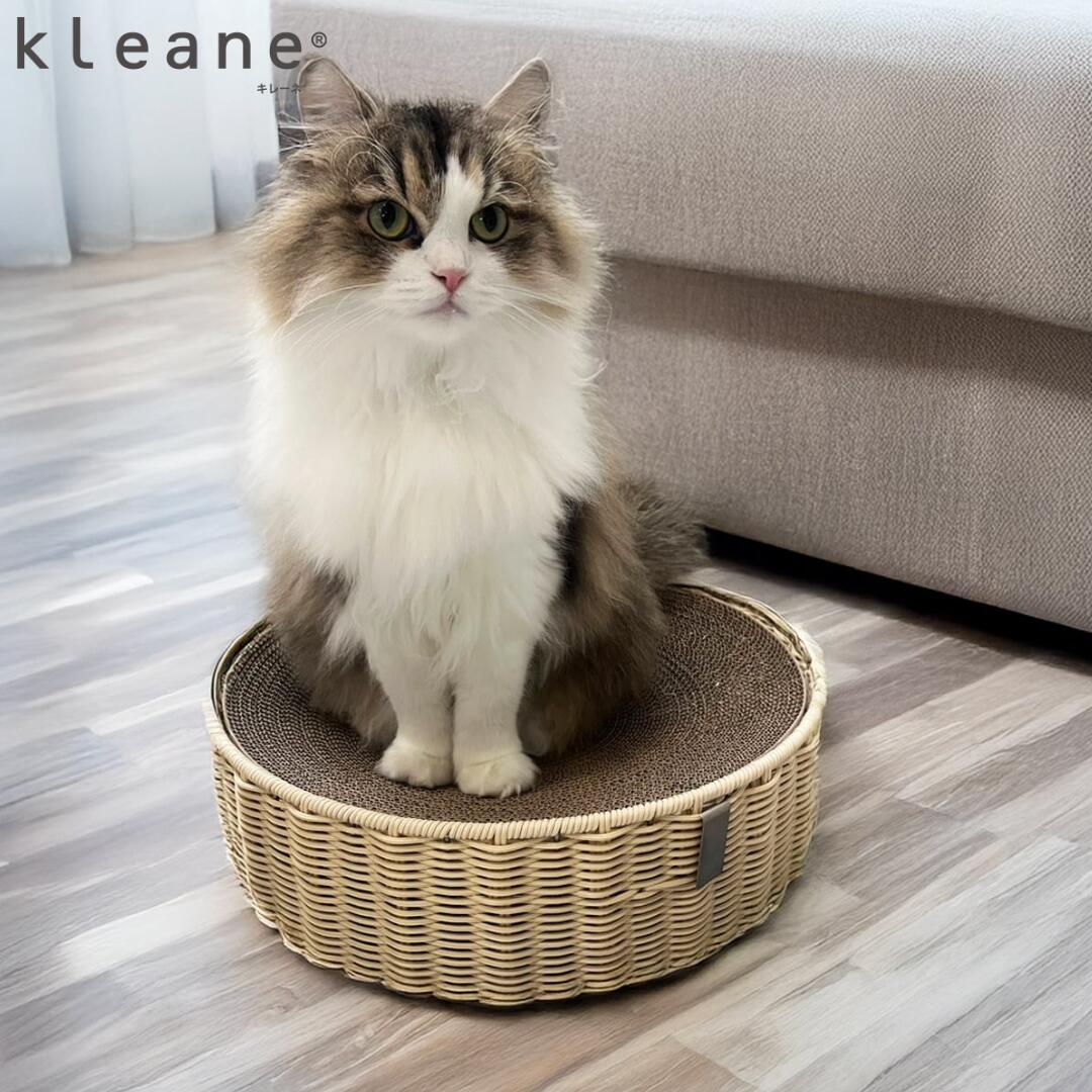 猫 爪とぎベッド キレーネ プリュス KLEANE PLUS 洗える 抗菌 キャットベッド 爪とぎ付き 猫用ベッド 丸型 おしゃれ ペットベッド 室内用