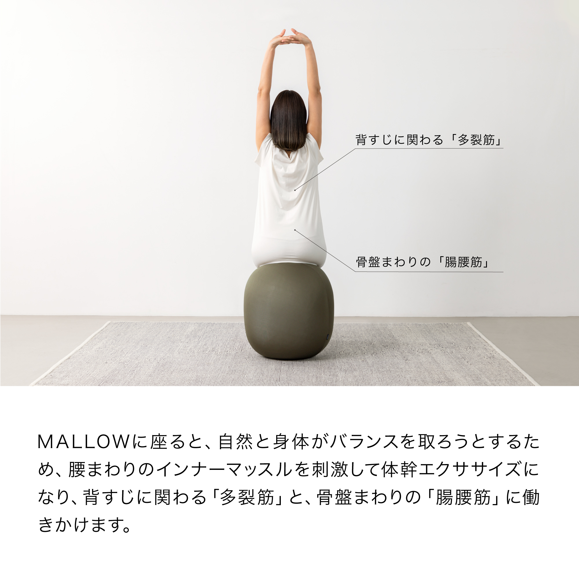 MALLOW マロウ まろー マロー エクササイズ バランスボール