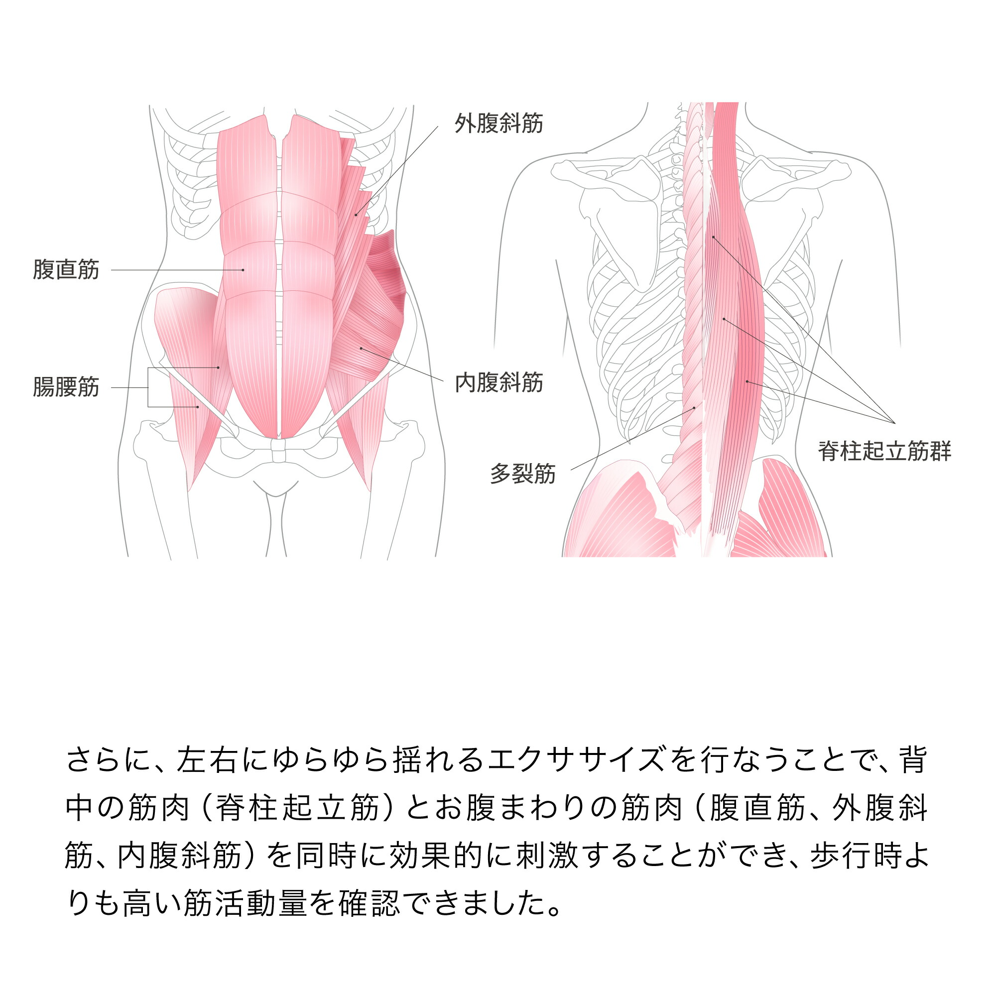 MALLOW マロウ まろー マロー エクササイズ バランスボール
