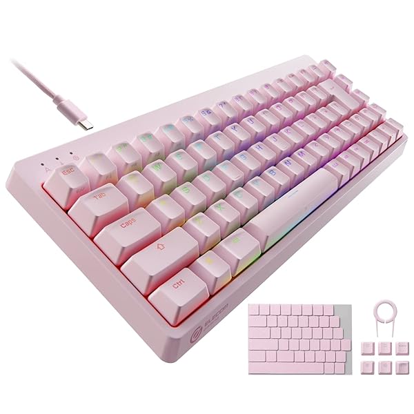 【貨物輸送無料】ゲーミングキーボード V-custom VK300S 有線 RGB テンキー受け答え 65%大きさ 力学的
