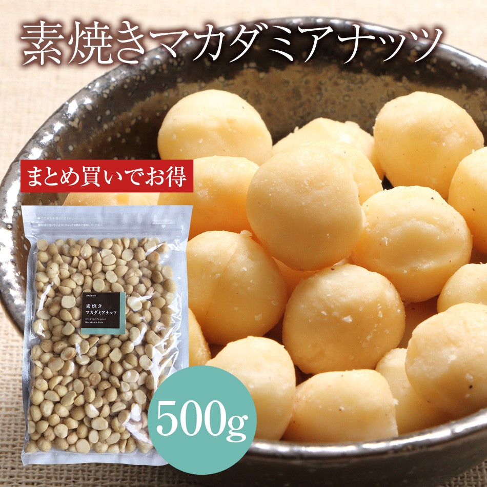 素焼き マカダミアナッツ 500g お買い得用 まとめ買い クリックポスト発送 WEB物産展 2021年春の