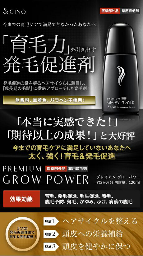 楽天市場 楽天ランキング第1位 新発想 育毛力を引き出す 薬用育毛剤 プレミアムグローパワー 発毛促進剤 育毛剤 発毛剤 育毛ローション 養毛剤 薄毛 抜け毛予防 脱毛予防 おすすめ オススメ 男性 メンズ 防止 人気 アールスタイルストア