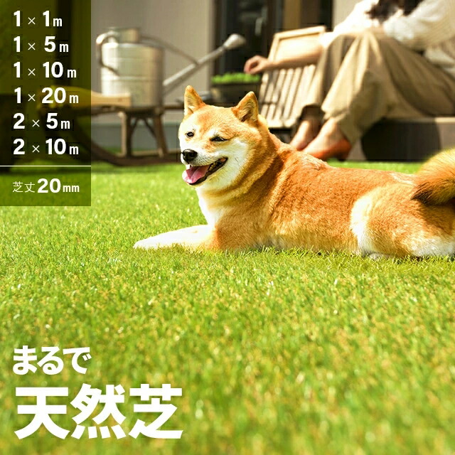 【事業者限定 特別価格】人工芝 高耐久 芝丈 20mm 1×1m 1×5m 1×10m 2×5m 2×10m 1×20m 高密度 ロール リアル 防草 防草シート 芝生 雑草防止 人工芝生 人工芝マット 芝生マット ロールタイプ 芝生ロール ベランダ 雑草 固定ピン u字ピン 法人 業者 モダンデコ