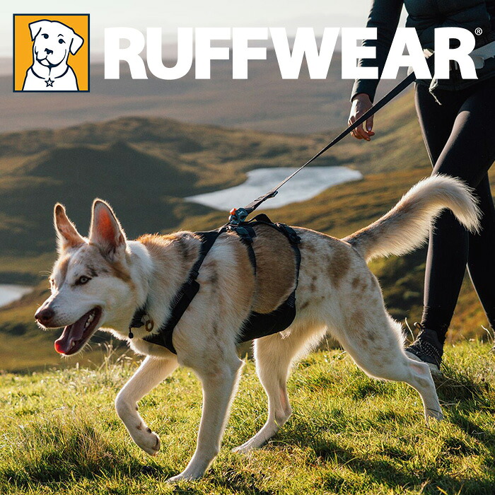 馬具 RUFFWEAR｜ラフウェア【リッジラインハーネス】 小型犬 中型犬 大型犬 貨物輸送無料 今めかしい 愛くるしい 抜けにくい 着脱飾り気の無い 洗える 手持ち部分付き添い人 無条件反射 国内定め事品