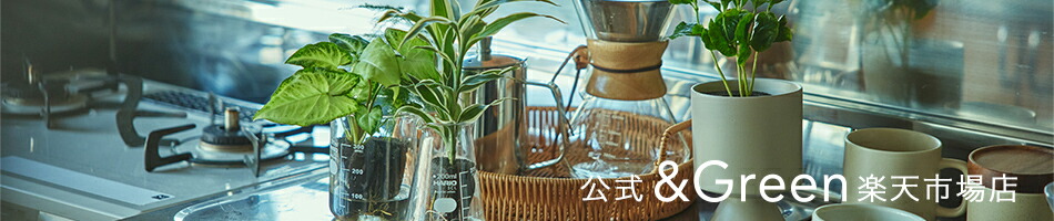 ���� ��Green ��ŷ�Ծ�Ź�����󤿤󡢤��줤�ˡ������ʴ�Ǽ�ͳ�˳ڤ����ڤ�Ȥ�ʤ����տ�ʪ�֥���