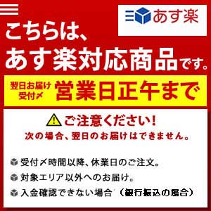 ナオモト 業務用スチームアイロン ＨＹＳ−５２０ 生活家電