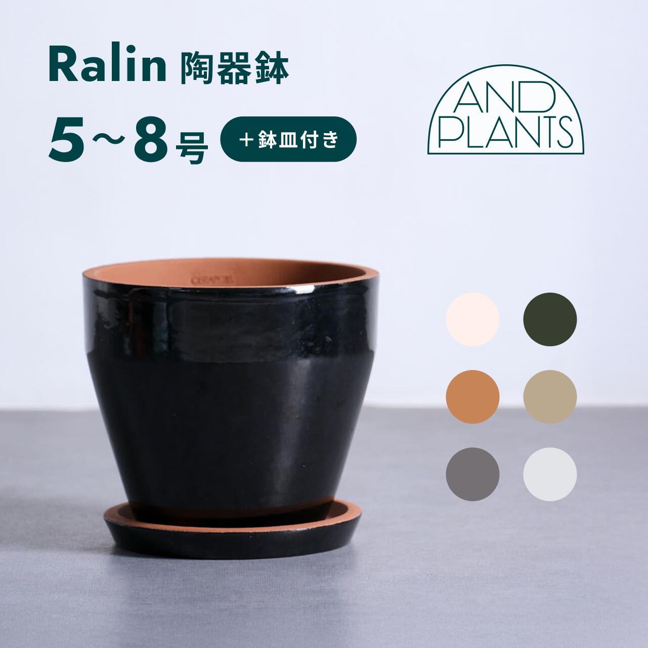 楽天市場】植木鉢 おしゃれ 陶器 ソルマルドット L 29.5cm(8号) 4色 底