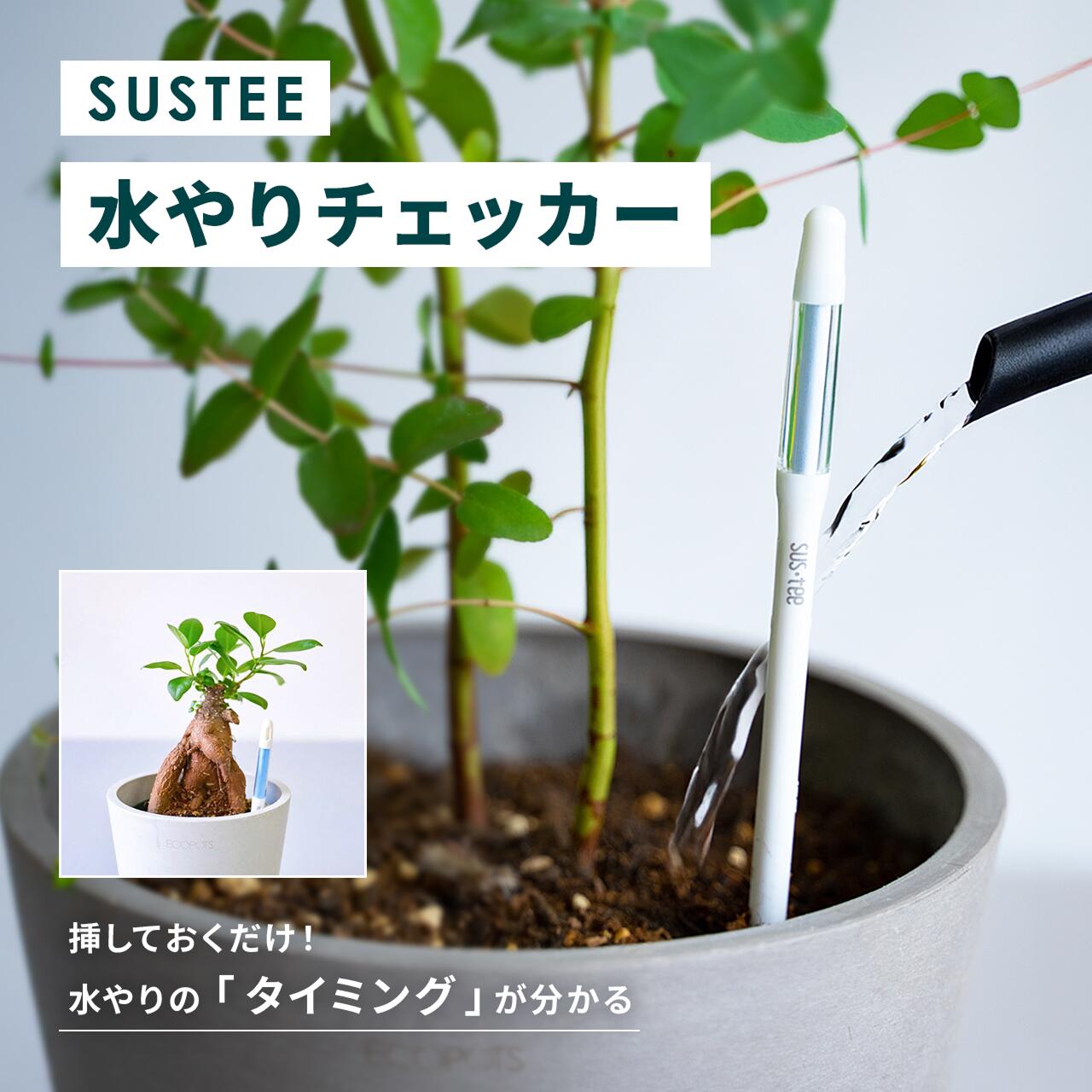 楽天市場】水やりチェッカー サスティー SUStee S M L 水やり 観葉植物