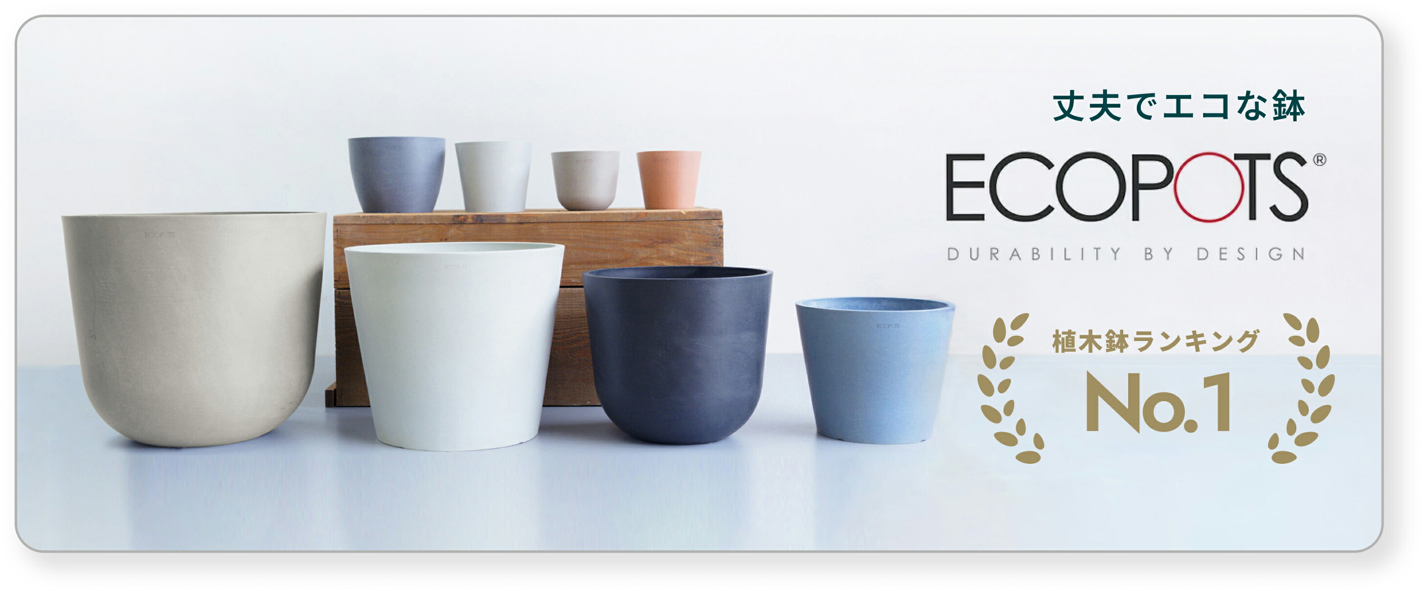 ecopots 植木鉢セット S6号×1、M8号×2 黒 ecopots 植木鉢セット S6号×1、M8号×2 黒 ecopots 植木鉢セット S6号×1