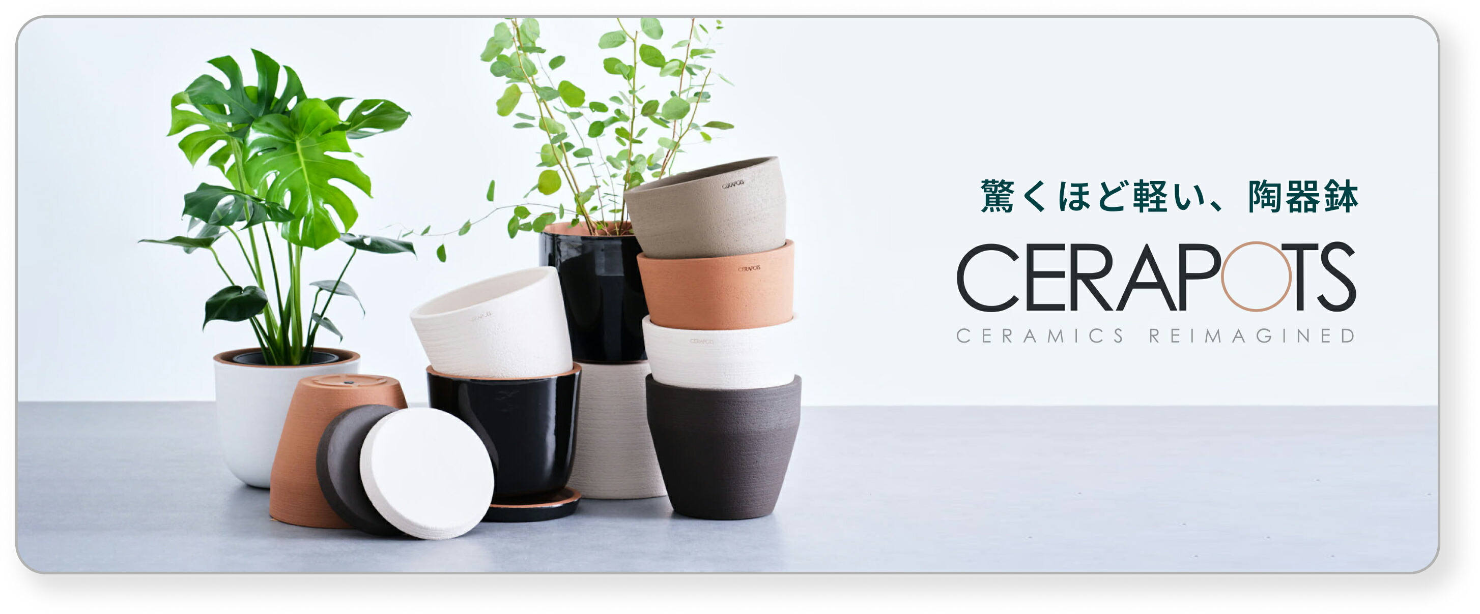 ecopots 植木鉢セット S6号×1、M8号×2 黒 楽天市場】観葉植物 植え替え セット Sサイズ 6号 植木鉢 ホワイト