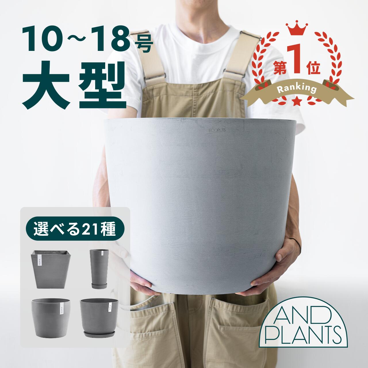 百貨店大売り出し