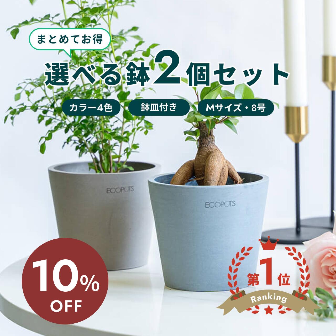 百貨店大売り出し