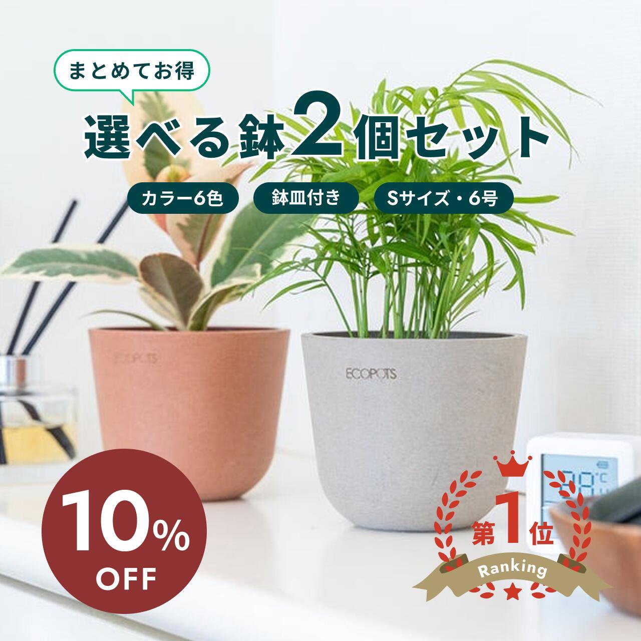 百貨店大売り出し