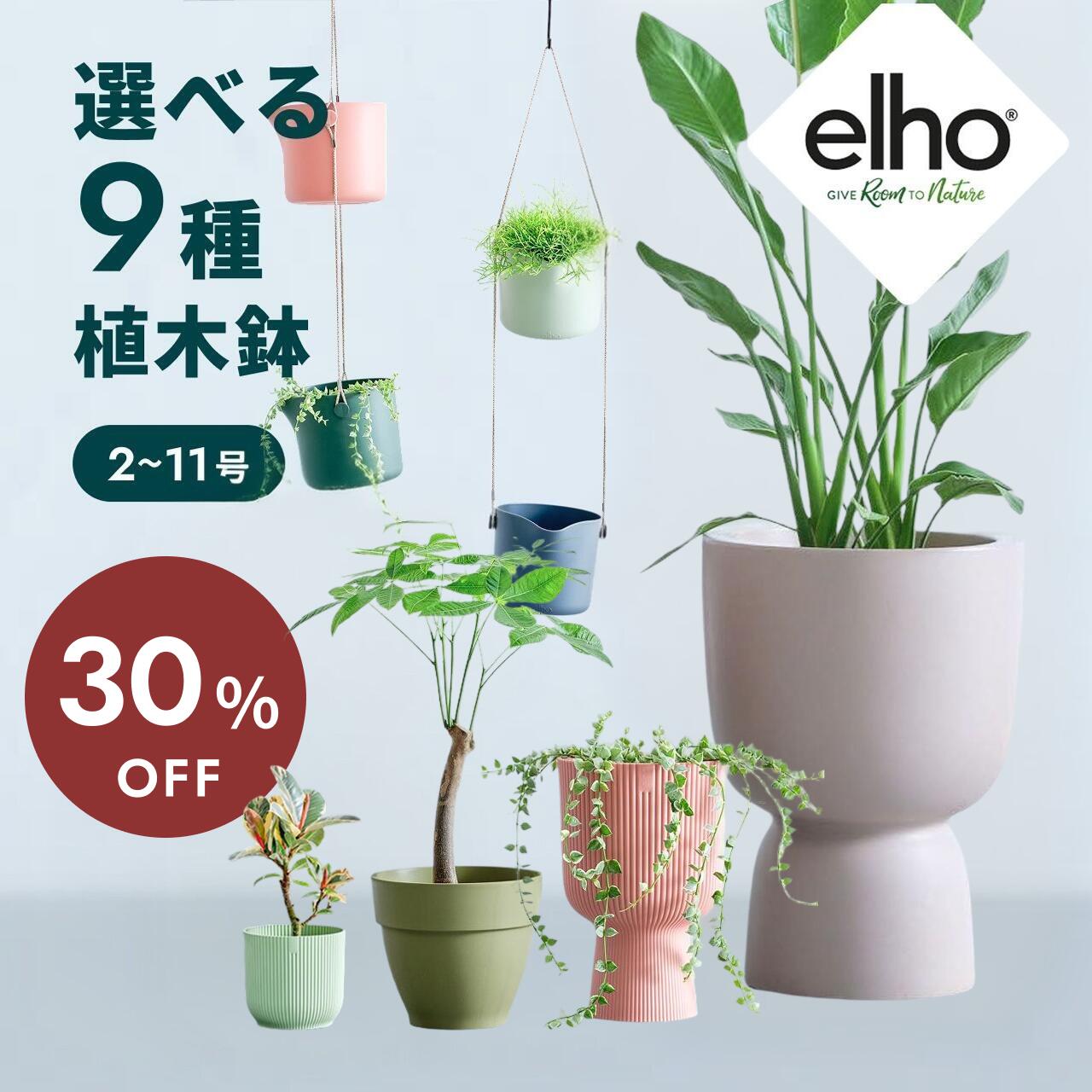 百貨店大売り出し