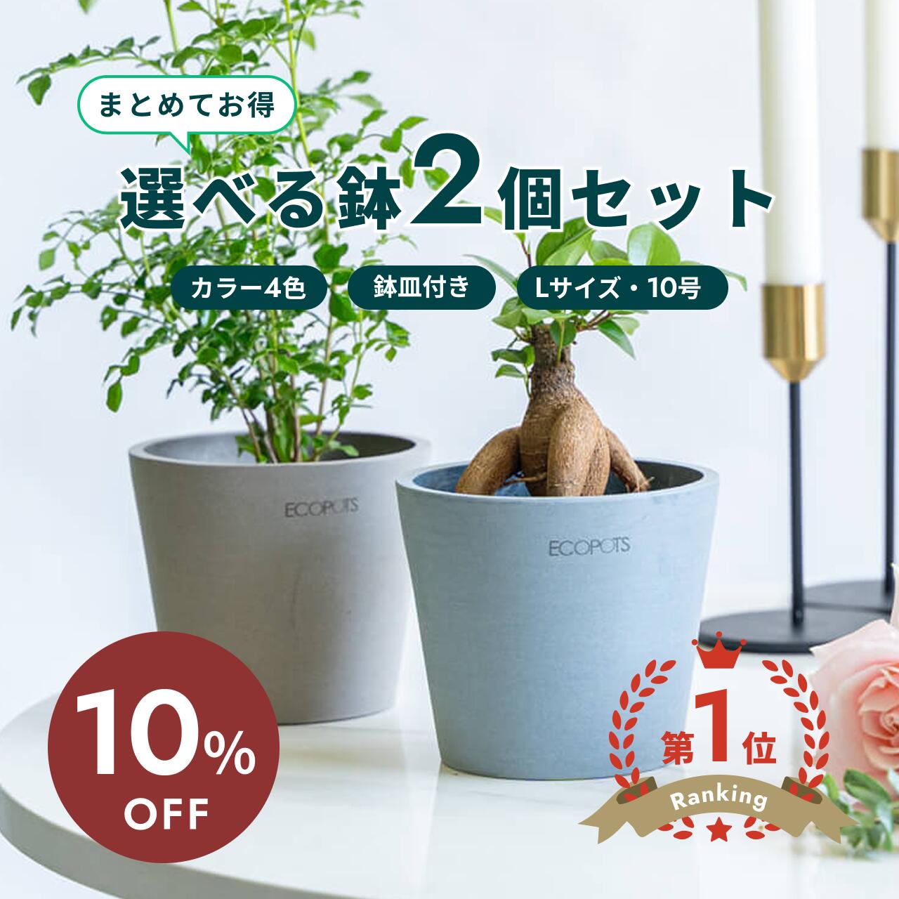 百貨店大売り出し
