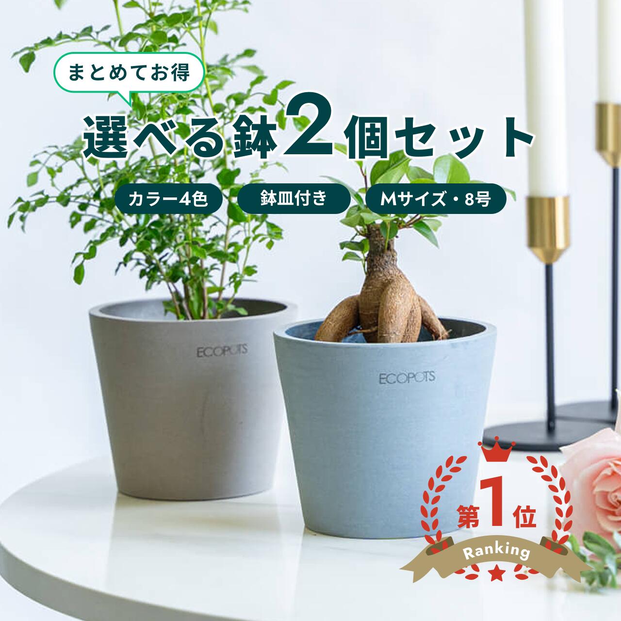 ＼文芸批評排他的権利あり／鉢 鉢 ecopots Amsterdam 8号 M【2個仕掛ける】 可塑性物質 + 天然石 鉢押しかぶせる 今めかしい 大型 プランター たわい無い 室内装飾 北欧 鉢皿 付き添い人 お花 草木 観葉草木 アンドプランツ 白いこと 薄墨色 青色 黒いこと 選べる色合い