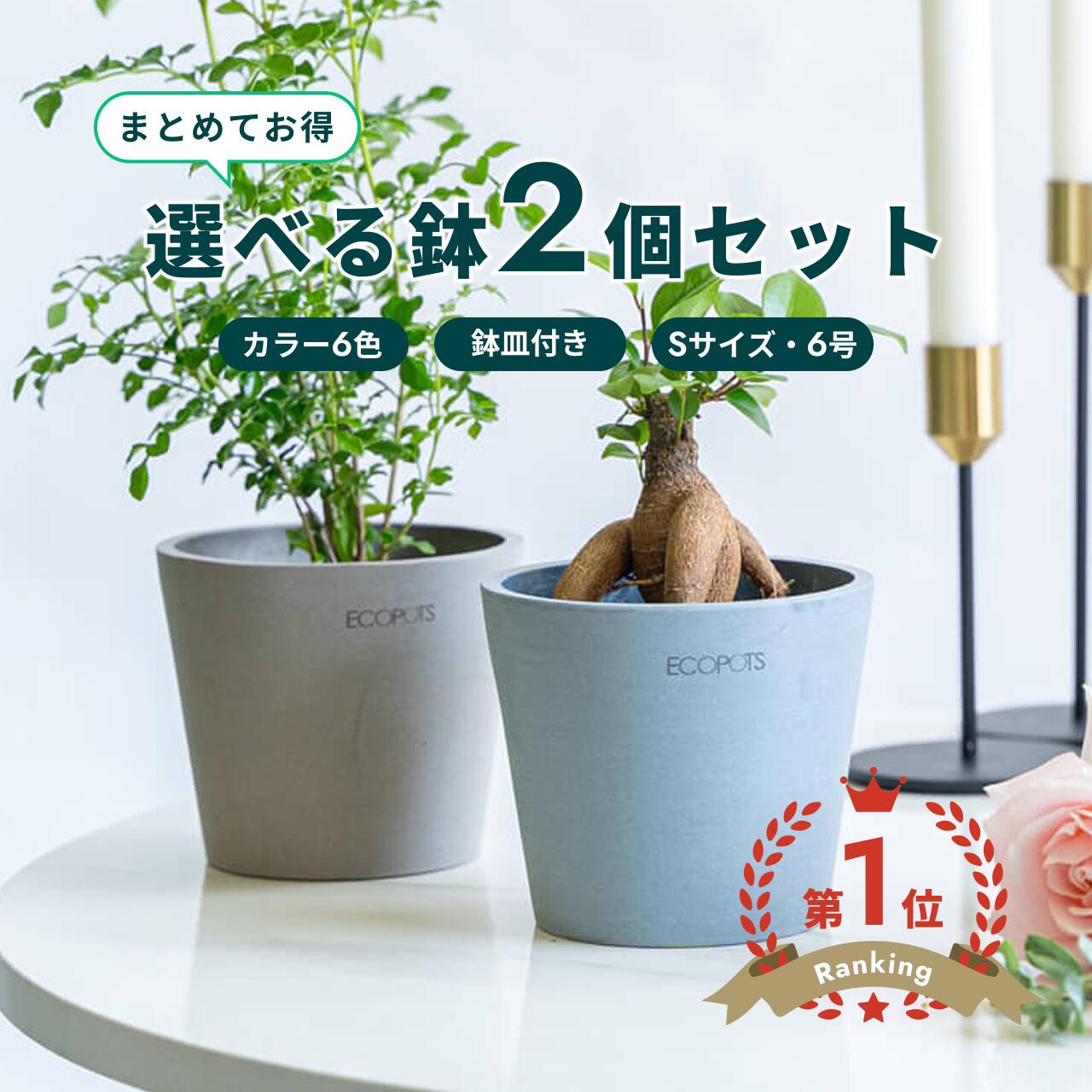 ＼文芸批評排他的権利あり／鉢 鉢 ecopots Amsterdam 6号 S【2個仕掛ける】 可塑性物質 + 天然石 鉢押しかぶせる 今めかしい 大型 プランター たわい無い 室内装飾 北欧 鉢皿 付き添い人 お花 草木 観葉草木 アンドプランツ 白いこと 薄墨色 青色 黒いこと 選べる色合い