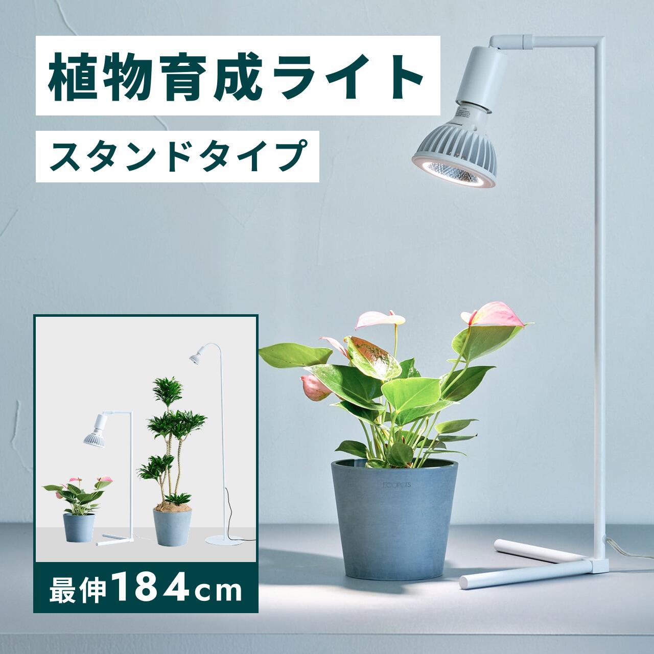 点火装置 草木育みそだてる点火装置 観葉草木点火装置 草木点火装置 室内作りだす点火装置  照明ランプ式 フロアライトスタンド 室内装飾 100W 点火装置 身寄り家庭菜園 照明ランプ 高さ合わせる 調光点火装置 バレル 照明ランプ手合い 白 多肉植物 合わせる 独立独歩 今めかしい 観葉草木 草木 花 北欧