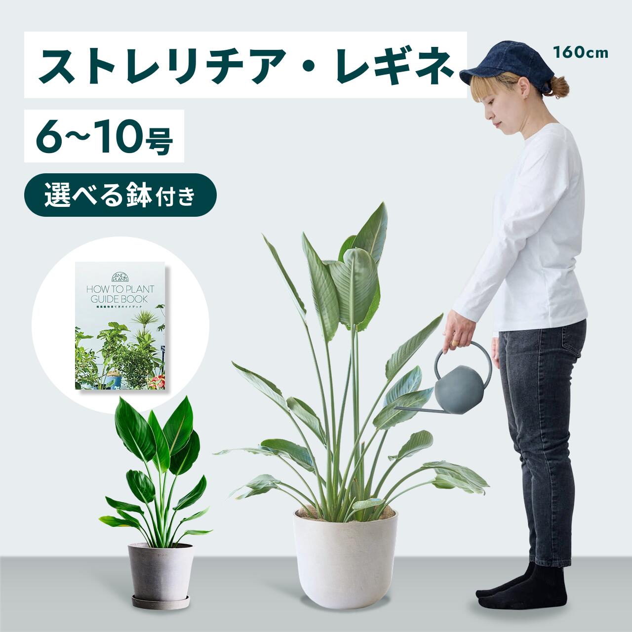 百貨店大売り出し
