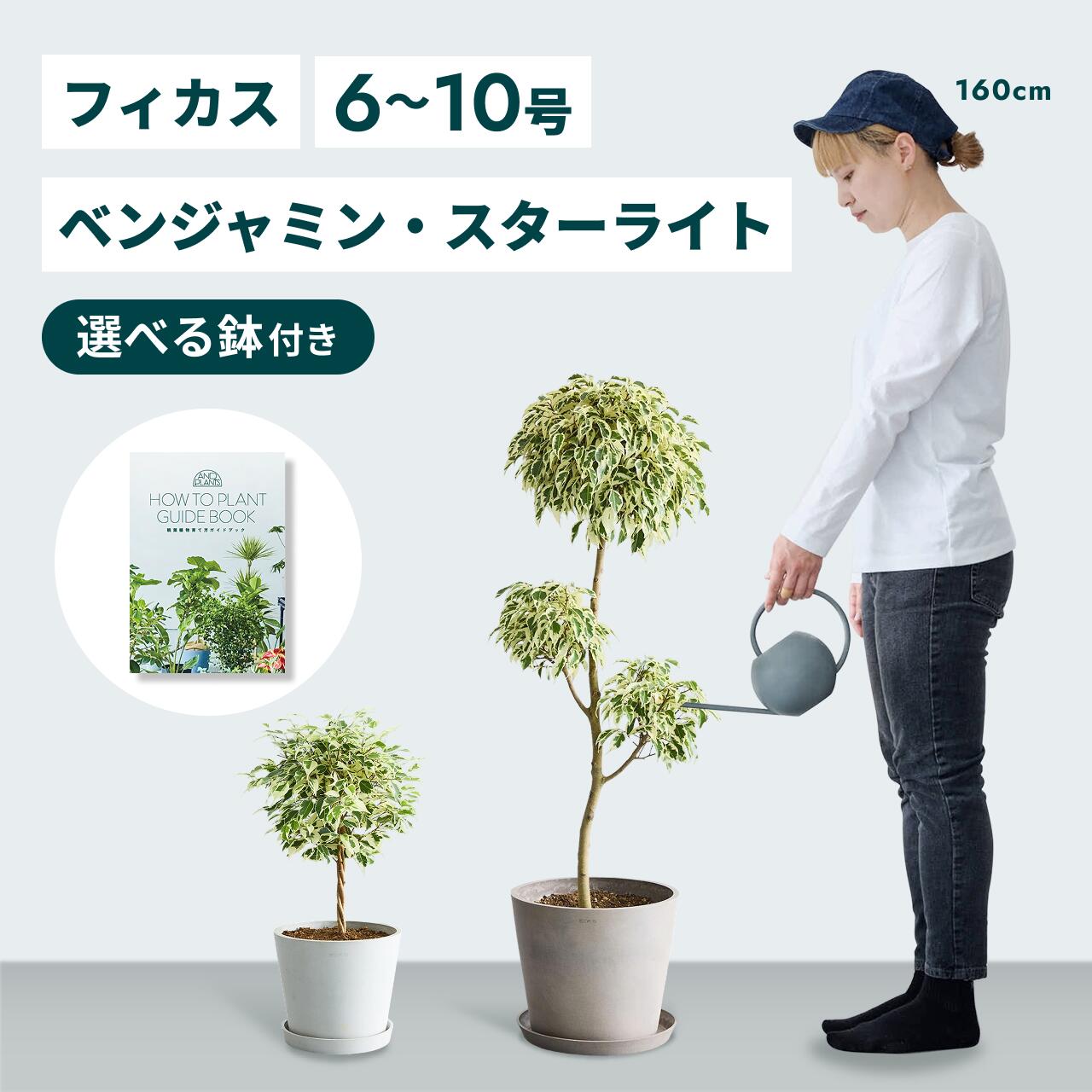 百貨店大売り出し