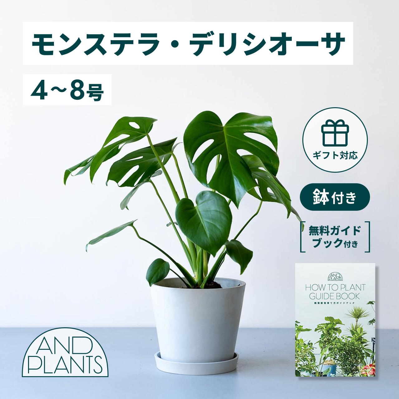 百貨店大売り出し