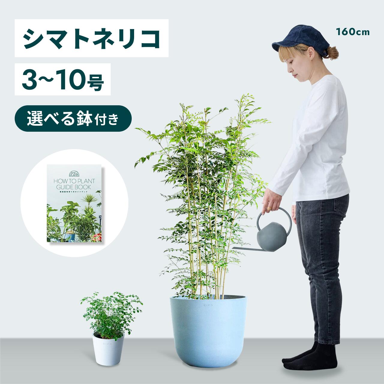 百貨店大売り出し