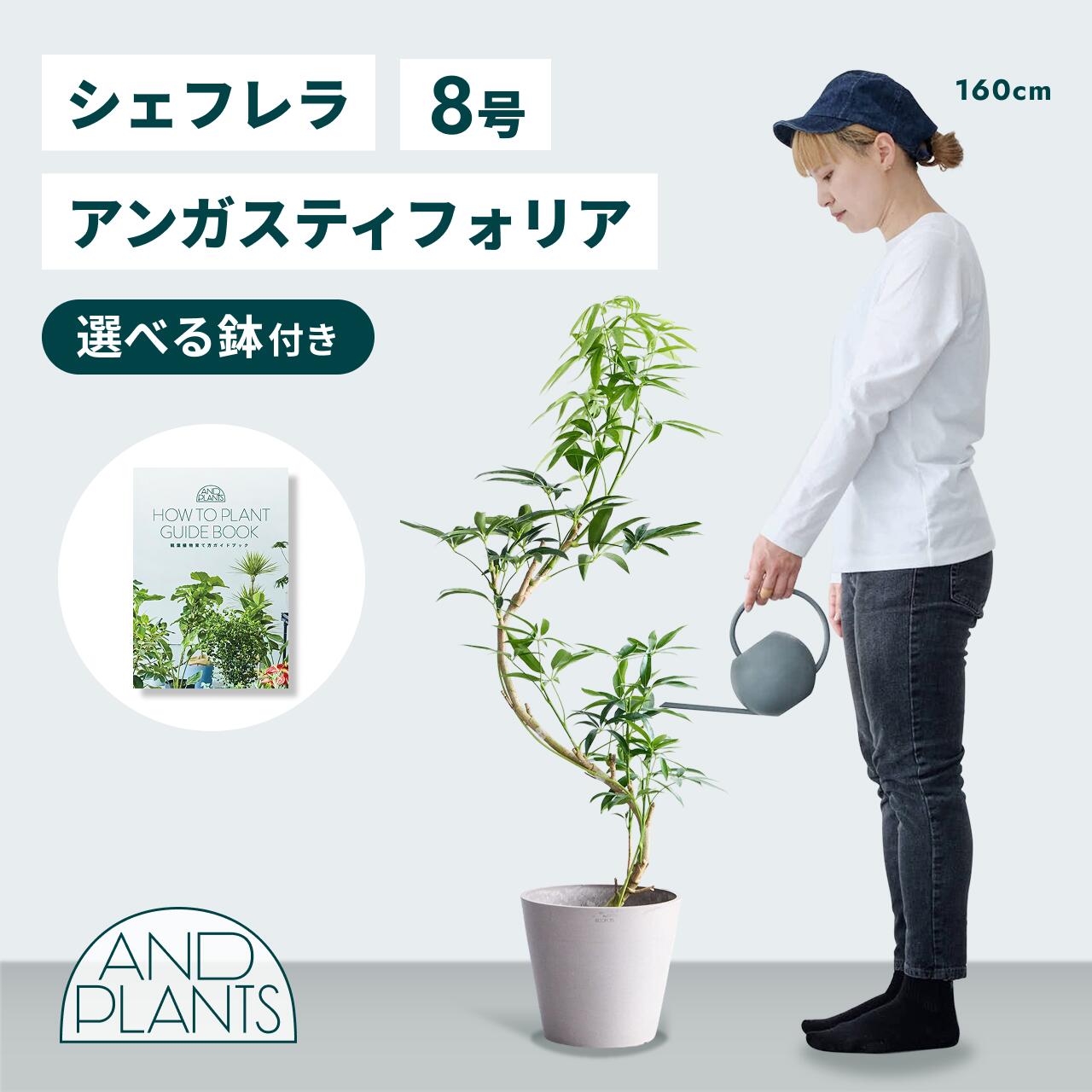 百貨店大売り出し