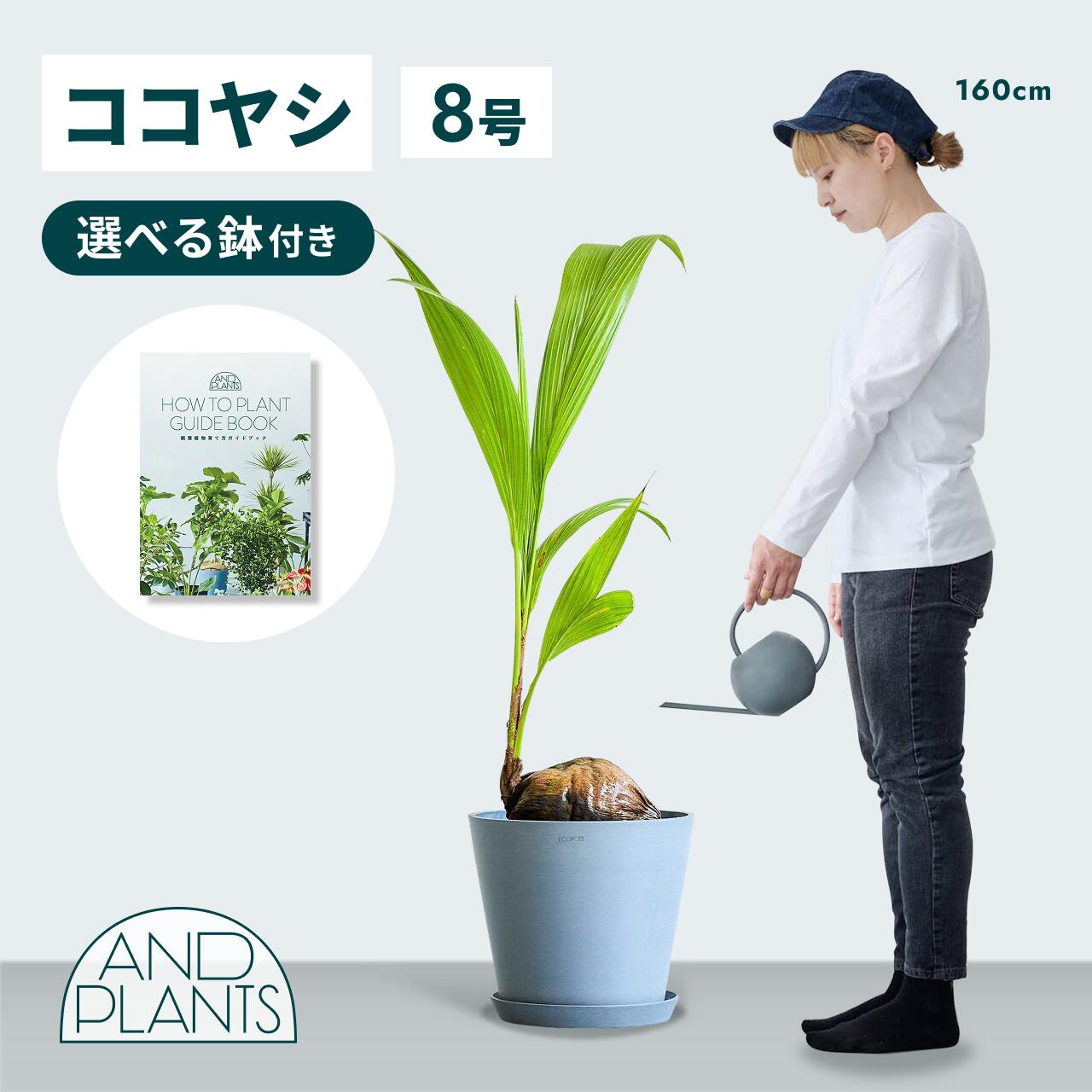 百貨店大売り出し