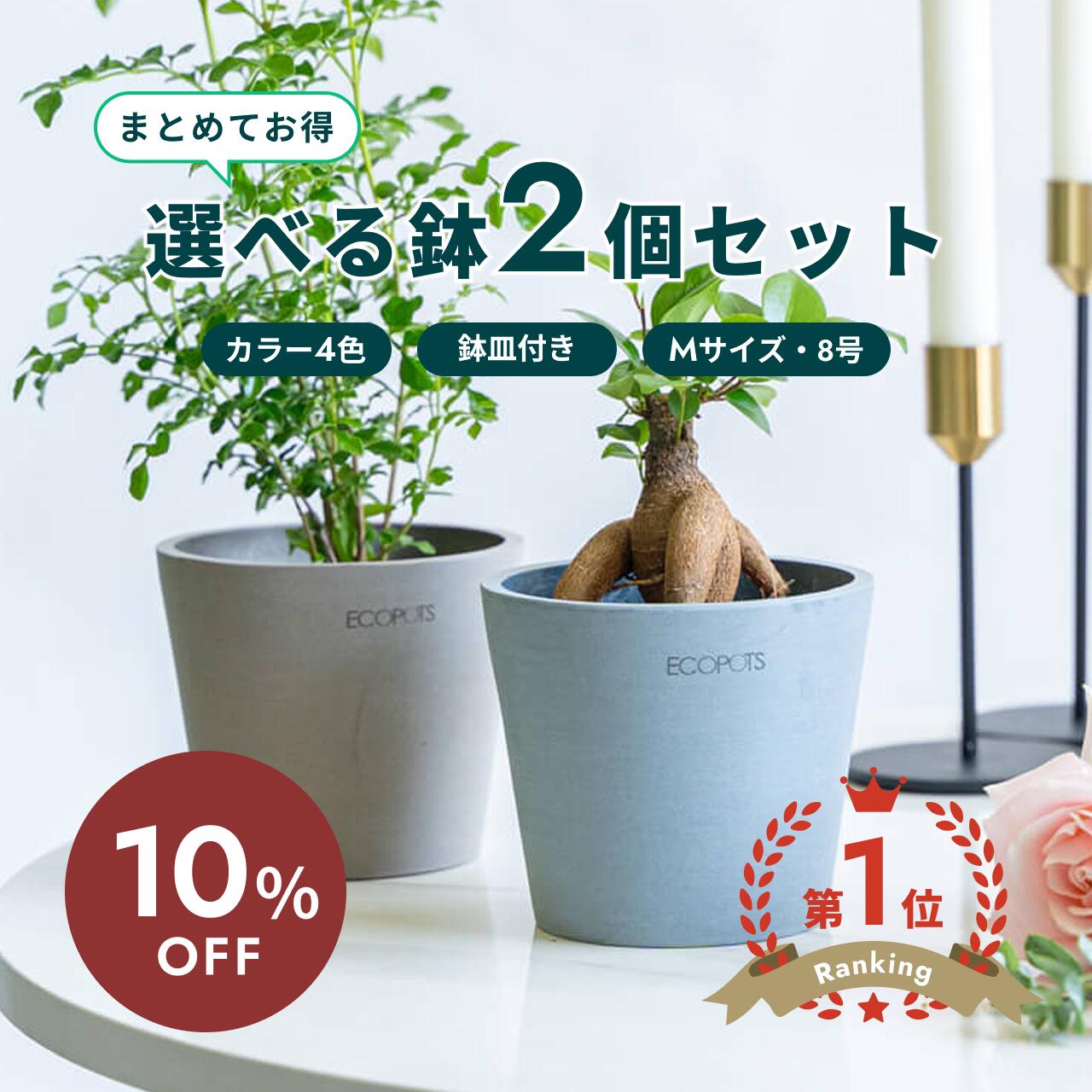 【10日20時迄10%割】植木鉢 鉢 ecopots Amsterdam 8号 M【2個セット】 プラスチック + 天然石 鉢カバー おしゃれ 大型 プランター 軽い インテリア 北欧 鉢皿 付き お花 植物 観葉植物 アンドプランツ ホワイト グレー ブルー ブラック 選べるカラー