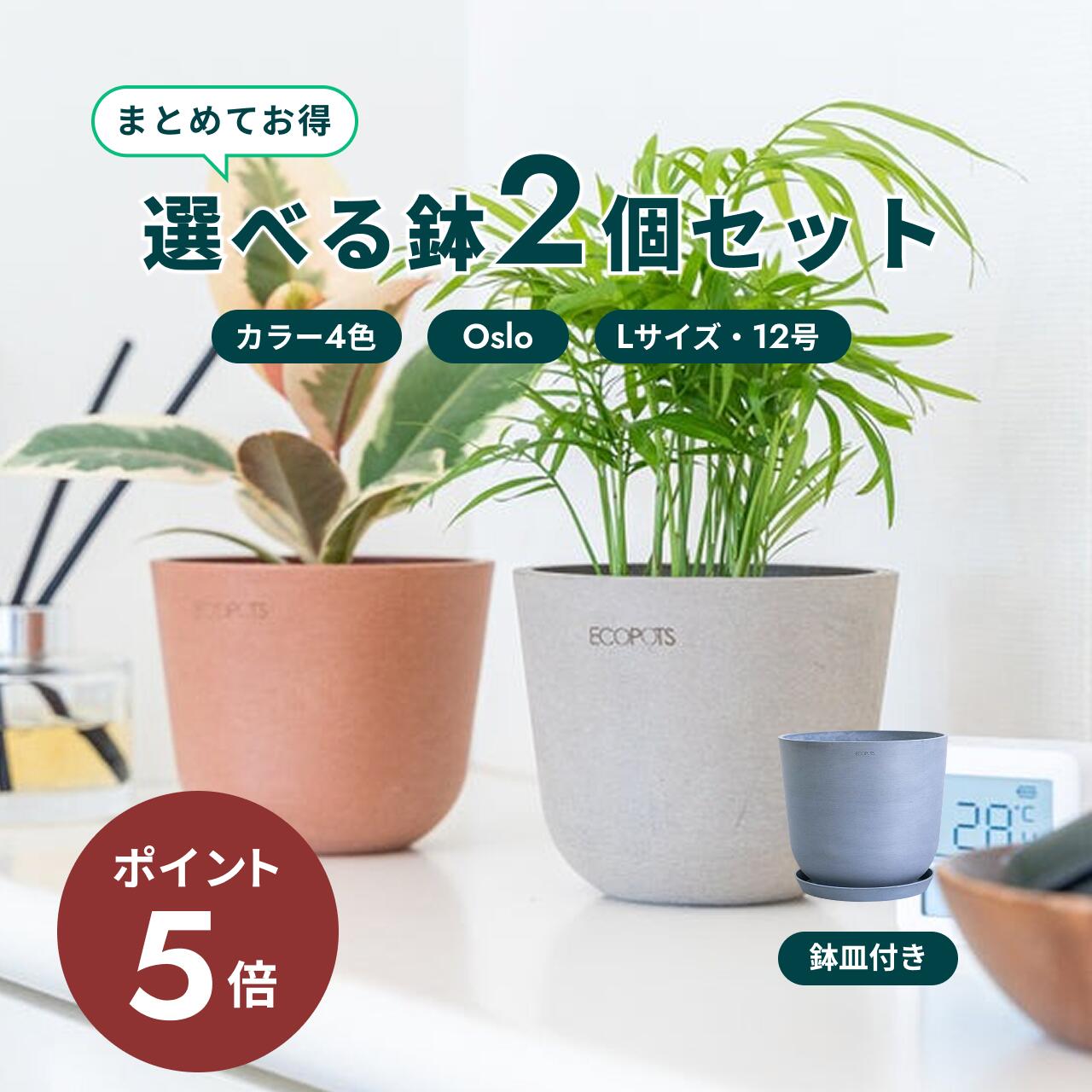 楽天市場】＼お気に入り登録でお待ちください／植木鉢 鉢 ecopots Oslo