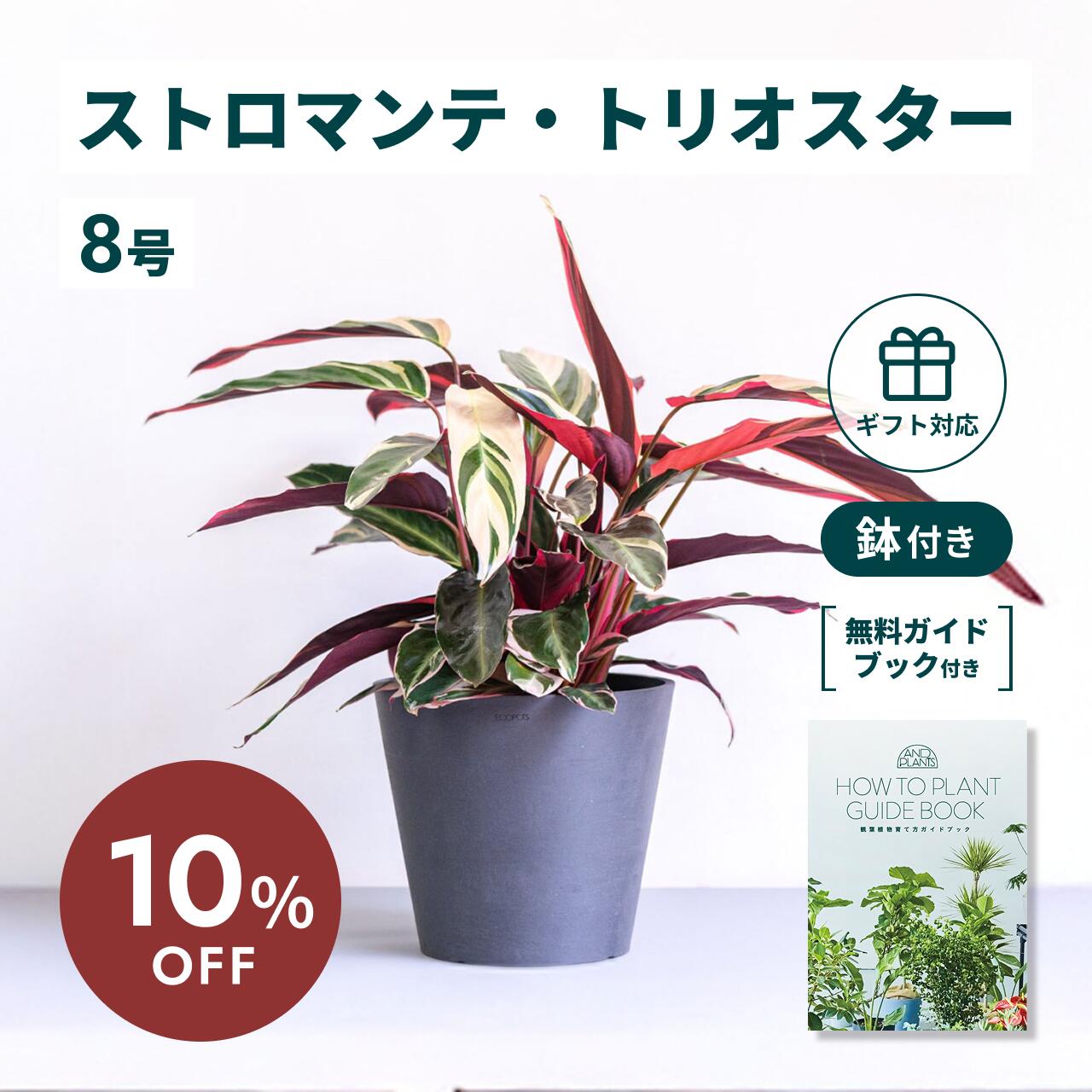 百貨店大売り出し