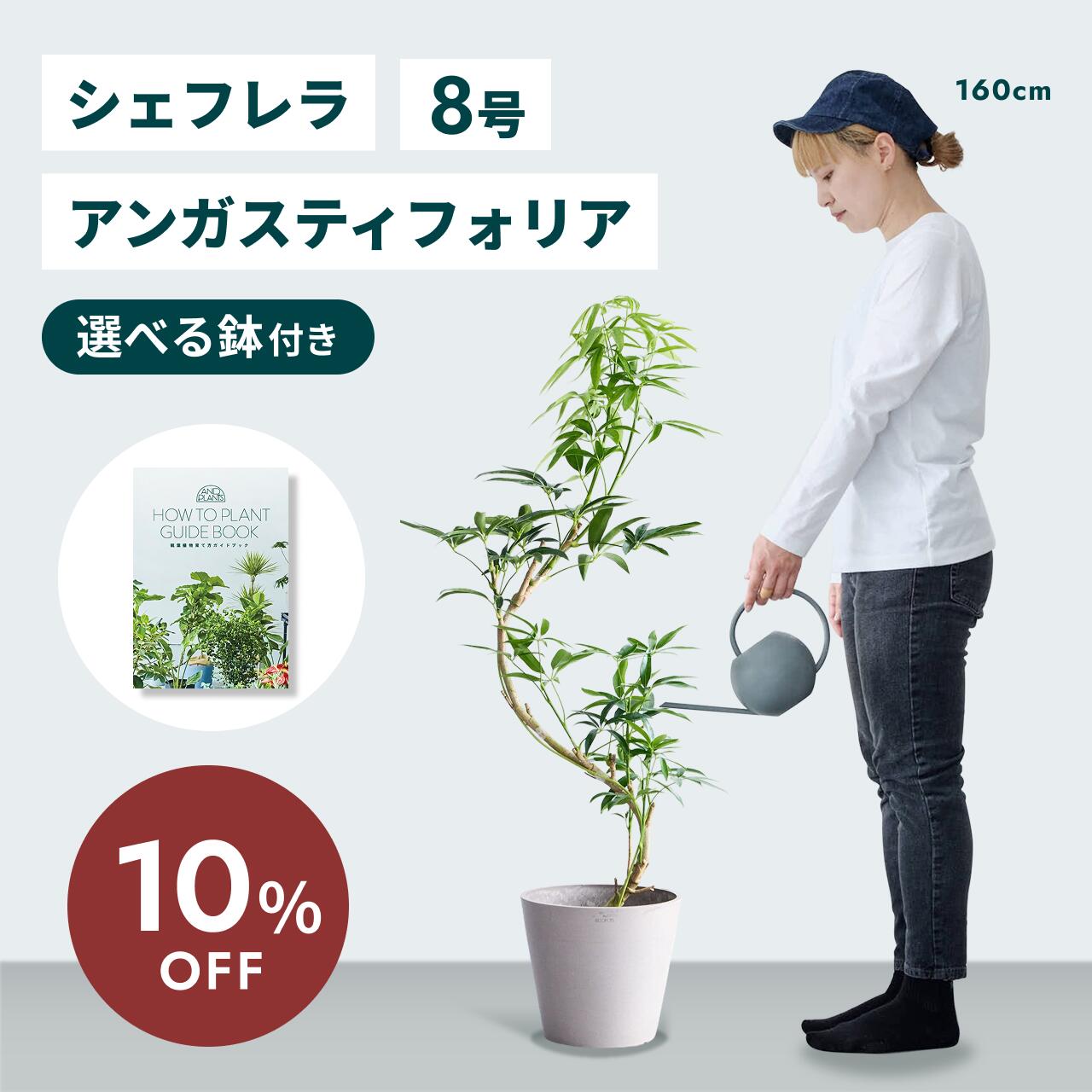 百貨店大売り出し