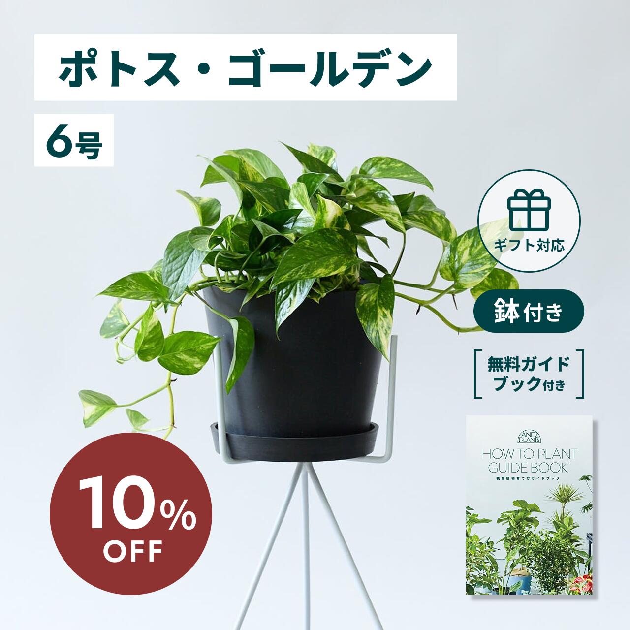 百貨店大売り出し