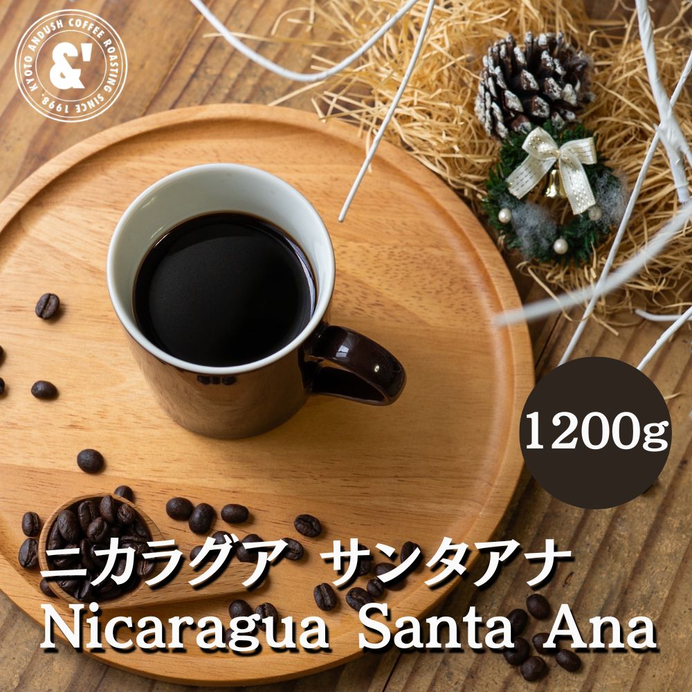 ニカラグア サンタアナ 1200g シティロースト 珈琲豆 送料込み スペシャルティコーヒー コーヒー豆 通販 京都 コーヒーロースター アンダッシュコーヒー おすすめ ランキング プレゼント ギフト