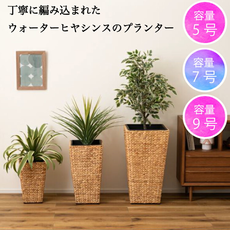 楽天市場】プランター 植木鉢 5号用 7号用 9号用 単品 おしゃれ