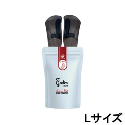 ゲンテン genten 姿勢矯正インソール 肩サポート Lサイズ｜Ａｎｅｍｏｎｅ