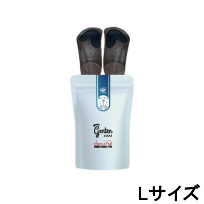 ゲンテン genten 姿勢矯正インソール 足先温かサポート Lサイズ｜Ａｎｅｍｏｎｅ