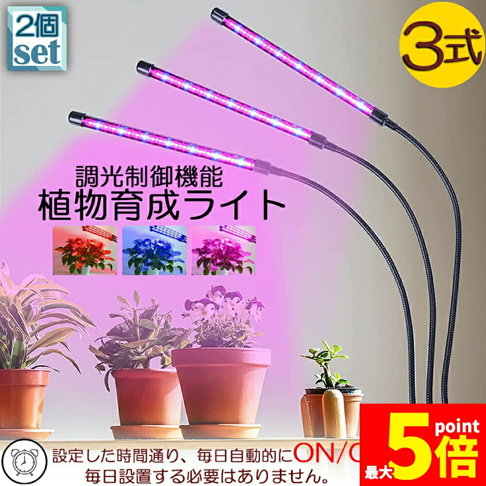 楽天市場】＼10%OFFクーポンあり／ ホワイト ブラックから選べる 観葉