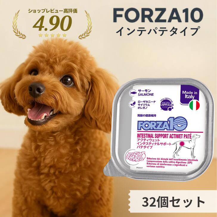 ソルビダ