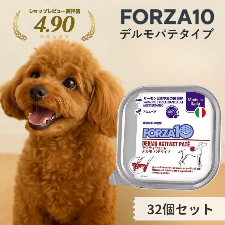 ソルビダ